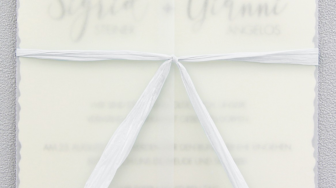 44301-00 - Ruban de raphia