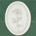 33001-00 - Cachet ovale ROSE - blanc