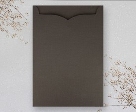 Einstecktasche 66006-03