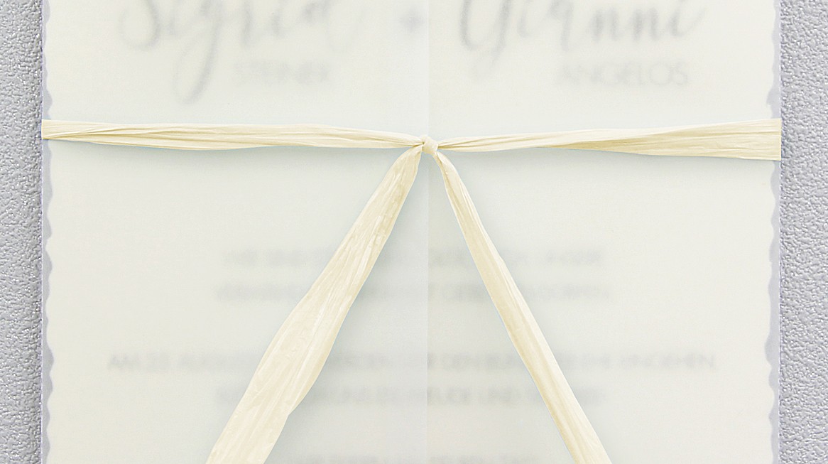 44301-02 - Raffia ribbon