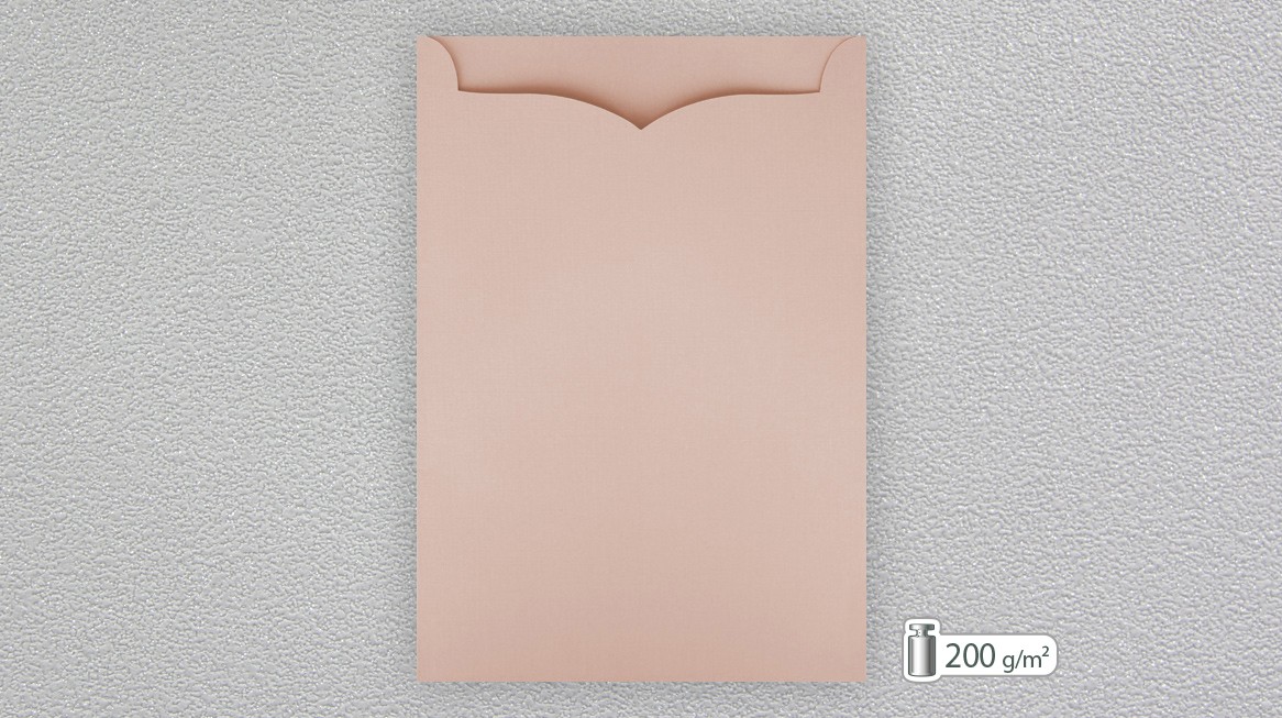 Invitation Sleeve 66006-06