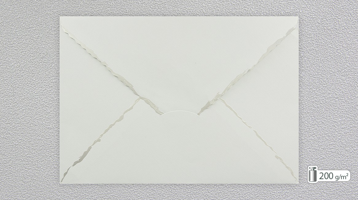 Envelope 99004-01P