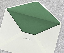 Envelope 99003-04