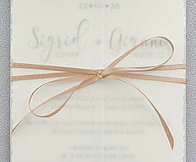44401-05 - Satin ribbon