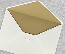 Envelope 99003-05