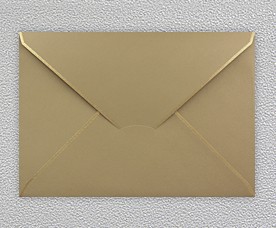 Envelope 99005-05