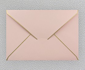 Envelope 99005-06