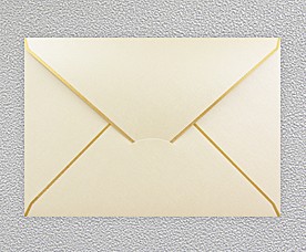 Envelope 99005-16