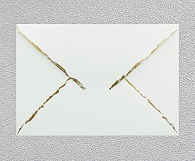 Envelope 99004-01