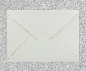 Envelope 99004-01P