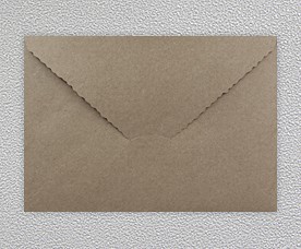 Envelope 99004-09