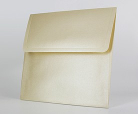 Envelope Z-016