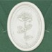 33001-00 - Oval seal ROSE - white